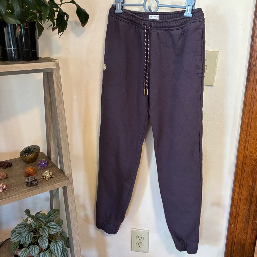 Peloton sweatpants EUC